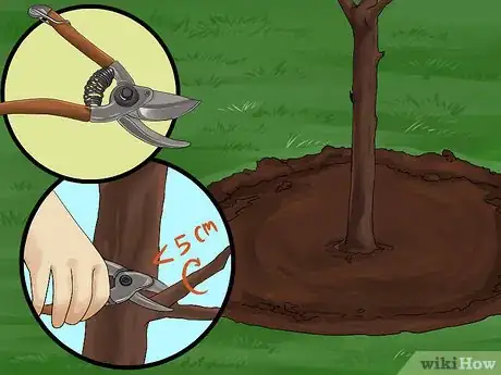 Image titled Create Tree Flower Beds Step 2