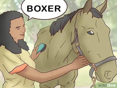 Image titled Teach a Horse to Come when Called Step 4