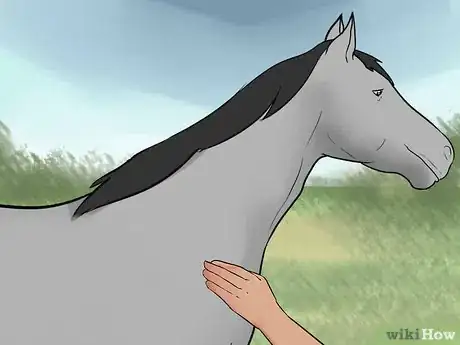 Image titled Take Care of a Horse in Hot Weather Step 15