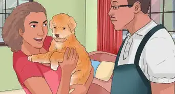 Understand Small Dog Syndrome