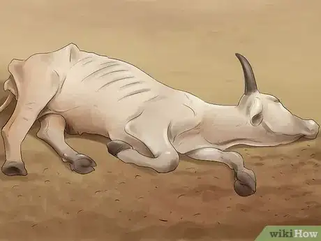 Image titled Treat and Prevent Nitrate Toxicity in Cattle Step 9