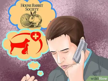 Image titled Get Rabbits Spayed or Neutered Step 1