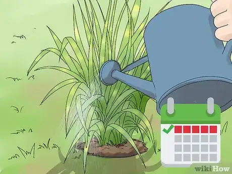 Image titled Plant Landscape Grasses Step 12