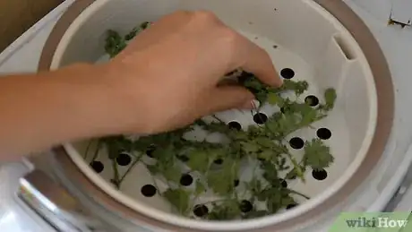 Image titled Dry Cilantro Step 22