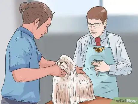Image titled Give Your Dog a Make Over Step 5