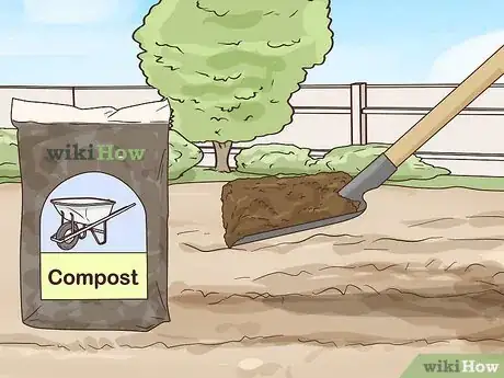 Image titled Grow a Sustainable Garden Step 3