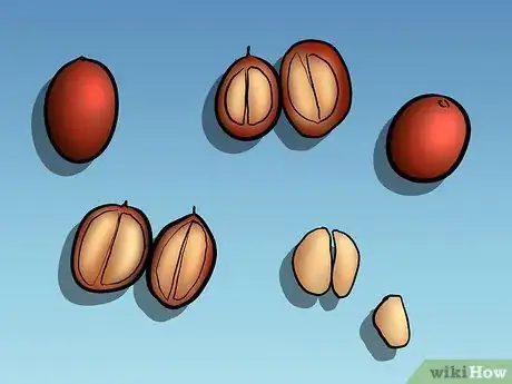 Image titled Harvest Coffee Beans Step 6