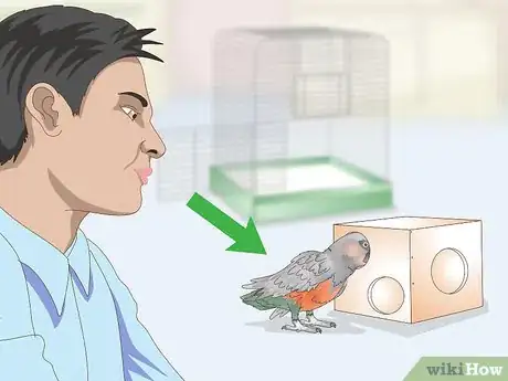 Image titled Keep a Red Bellied Parrot Entertained Step 10