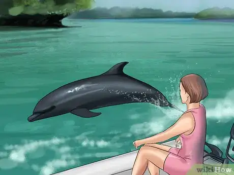 Image titled Identify a New Zealand Dolphin Step 5