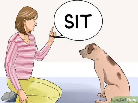 Image titled Modify Tricks Based on an Old Dog's Physical Limitations Step 8