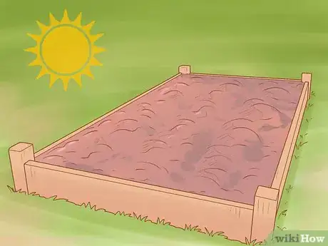 Image titled Grow Red Onions Step 6