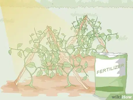 Image titled Kill Thrips Step 9