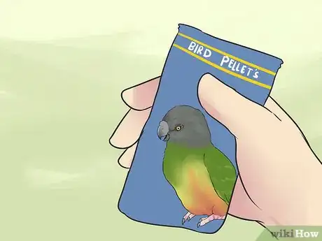 Image titled Care for a Senegal Parrot Step 6