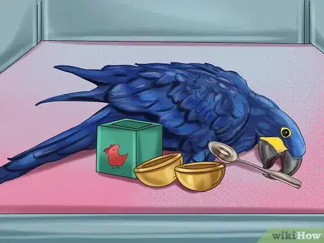 Image titled Care for a Hyacinth Macaw Step 15