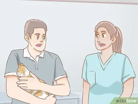 Image titled Get a Veterinary Second Opinion for Your Cat Step 10