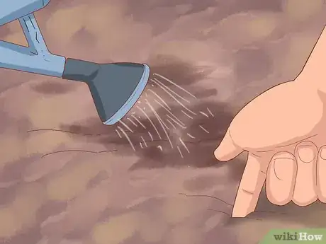 Image titled Grow Cucumbers Step 9