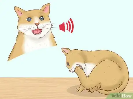 Image titled Give Codeine to Cats in Pain Step 2