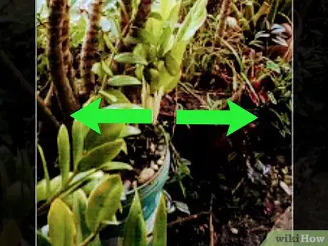 Image titled Edit Google Photos on Android Step 11