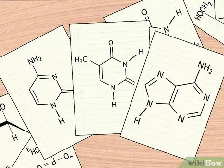 Image titled Understand DNA Structure Step 8