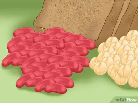 Image titled Maintain Healthy Gut Bacteria Step 10