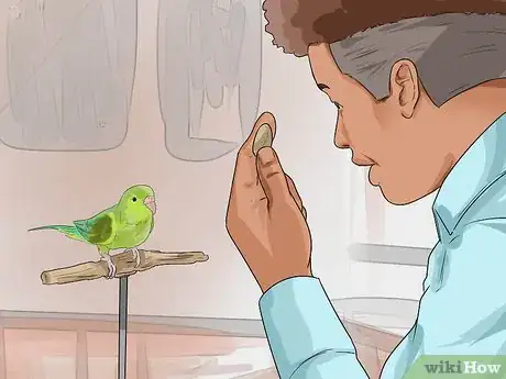 Image titled Perch Train Your Parakeet Step 4