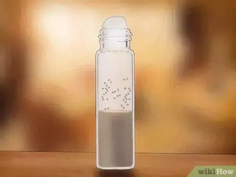 Image titled Perform Vial Transfers With Fruit Flies Step 4