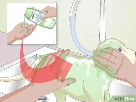 Image titled Shower a Puppy Step 12
