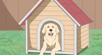 Prevent Your Pets from Accidentally Starting a House Fire