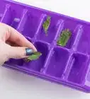 Make Ice Cubes with an Ice Tray