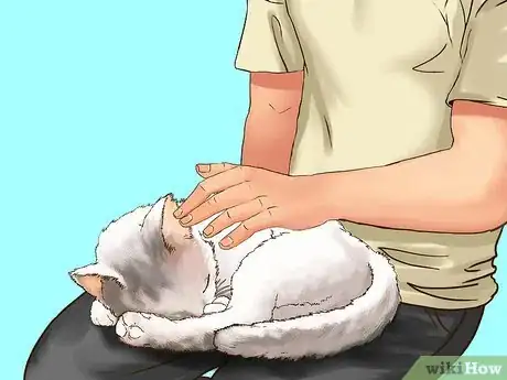 Image titled Take Care of Your Aging Cat Step 17