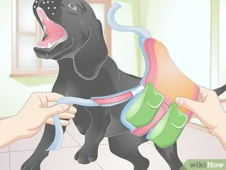 Image titled Fit a Dog Backpack Step 10