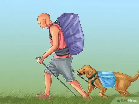 Image titled Choose a Good Hiking Dog Step 12