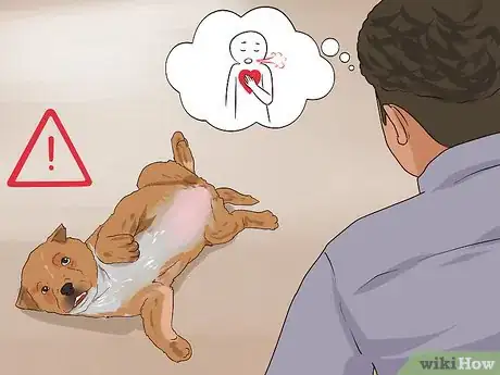 Image titled Cope With Canine Epilepsy Step 2