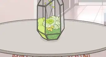 Style a Coffee Table