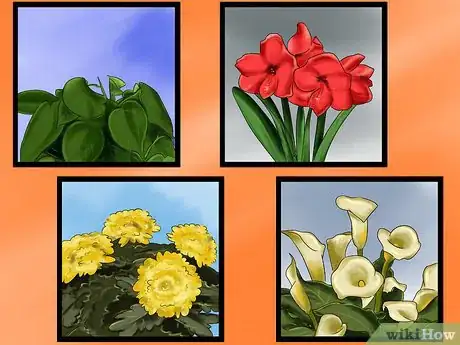 Image titled Choose Safe Houseplants when You Have a Cat Step 3