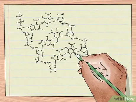 Image titled Understand DNA Structure Step 9