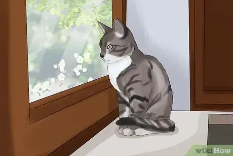 Image titled Take Photos of Adoptable Cats Step 13