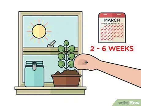 Image titled Grow Mint Indoors Step 11