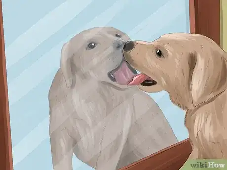Image titled Identify Empathy in Animals Step 6