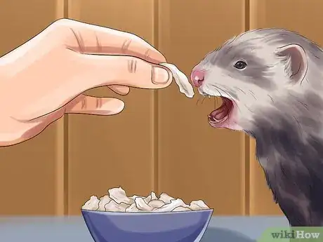 Image titled Train a Ferret Step 13