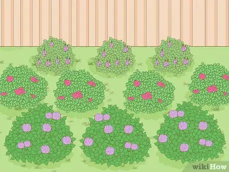 Image titled Build a Living Fence Step 6