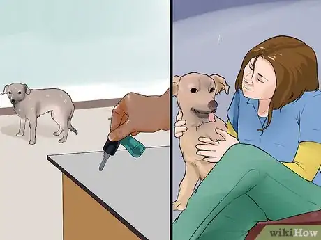 Image titled End Dog Separation Anxiety With Desensitization Step 6