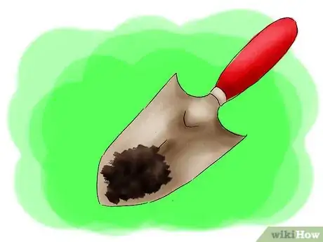 Image titled Grow Caladiums Step 04