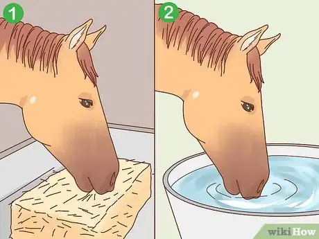 Image titled Transport a Horse Step 5