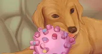 Make Sure That Your Dog Is Okay After Giving Birth