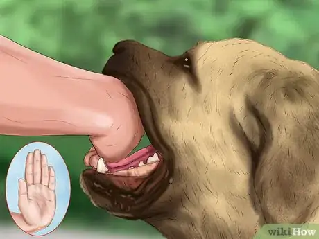 Image titled Handle a Little Dog with a Big Attitude Step 10