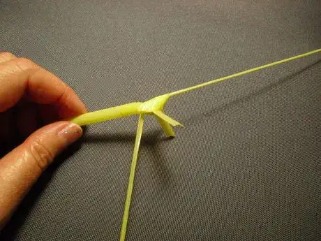 Image titled Shachi24_549.JPG