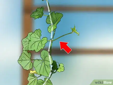 Image titled Prune Cucumber Plants Step 4