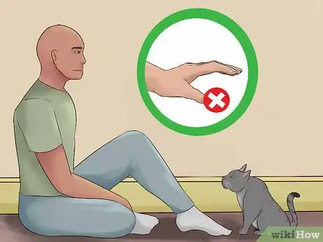 Image titled Get Your Cat to Know and Love You Step 4
