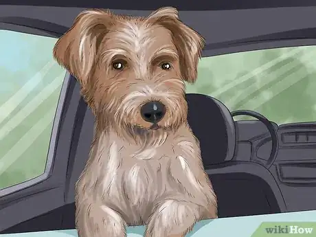 Image titled Keep Your Pets Safe in Winter Step 10